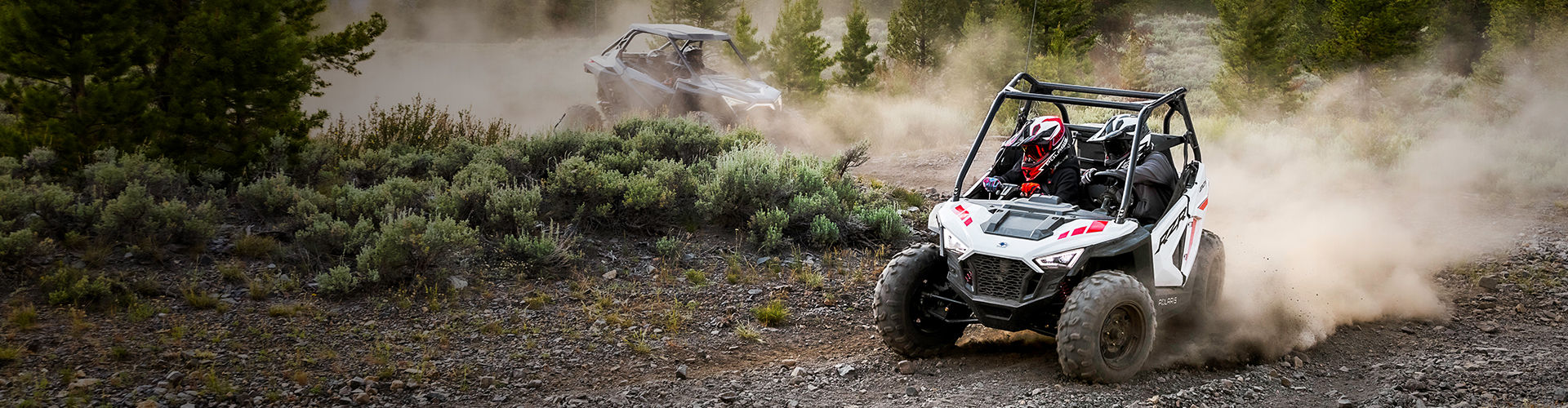 Rzr 200 EFI